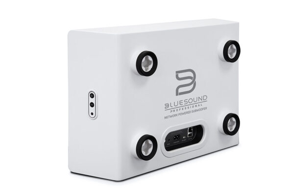 NETWORK POWERED SUBWOOFER (BLACK OR WHITE)